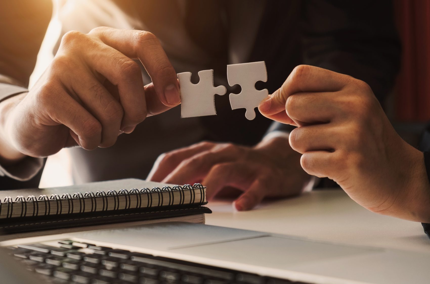 Ingenium incoporation to new markets